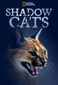 ดูหนัง Shadow Cats (2022) ซับไทย